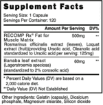 BlackStone Labs Recomp Rx