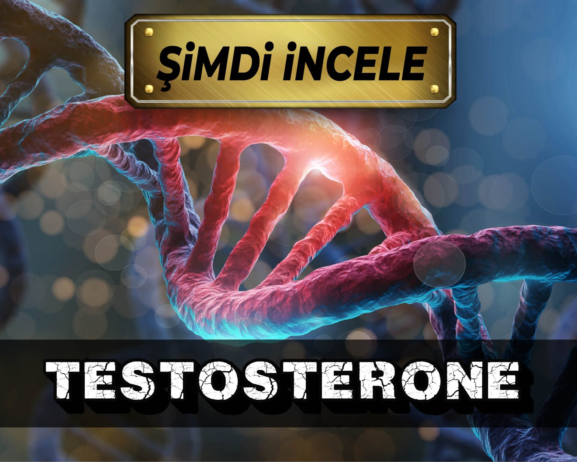 redboxsupplement banner 1 1